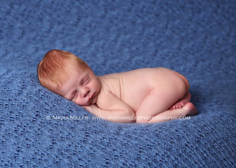 Toronto newborn portraits of baby boy by Annya Miller Photography