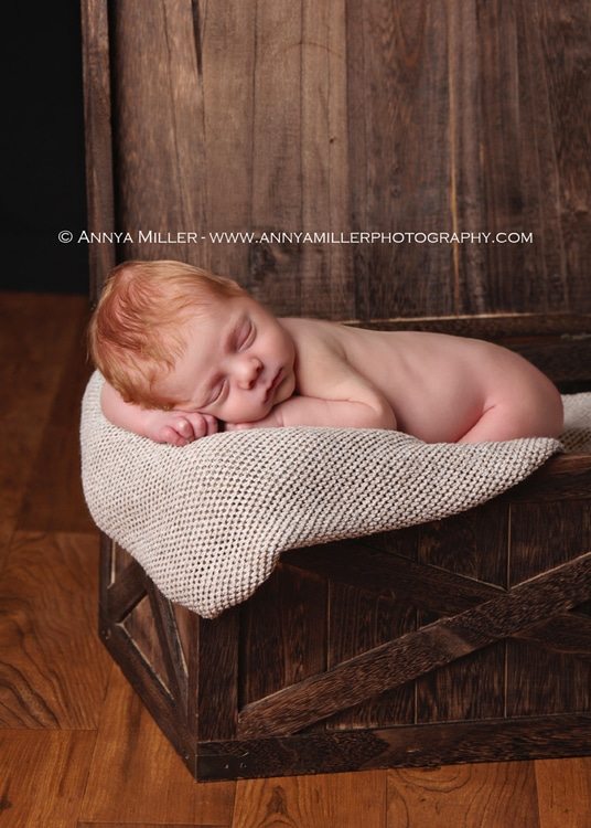 Toronto newborn portraits of baby boy by Annya Miller Photography