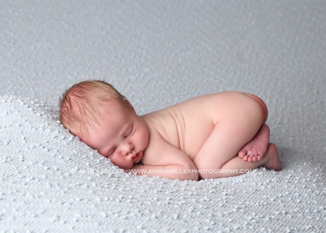 Newborn portraits by Toronto newborn photographer Annya Miller
