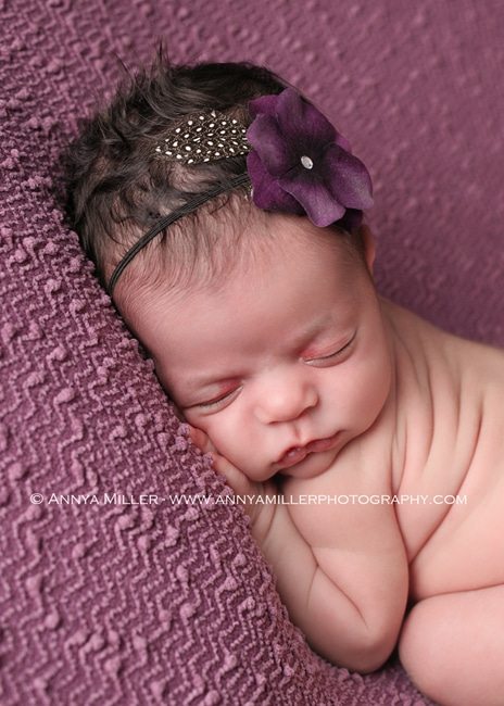 Portraits of a newborn by GTA baby photographer Annya Miller