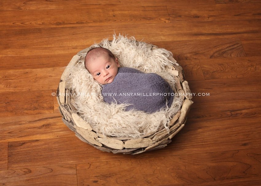 Toronto area newborn portraits of baby boy by Annya Miller photography of Pickering