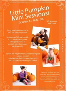 Little Pumpkin Mini Sessions