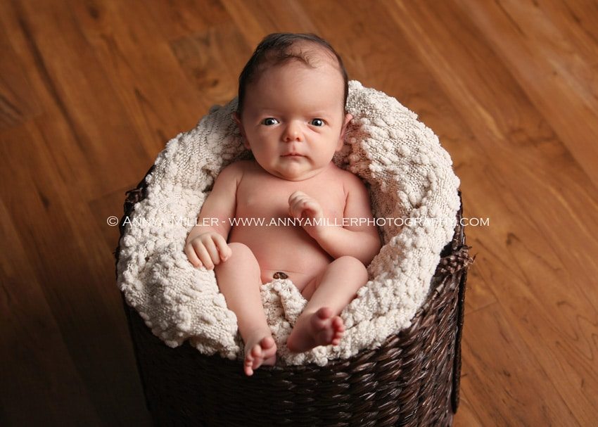 Pickering newborn portraits of baby boy