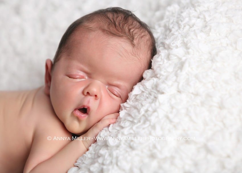 Pickering newborn portrait of newborn boy