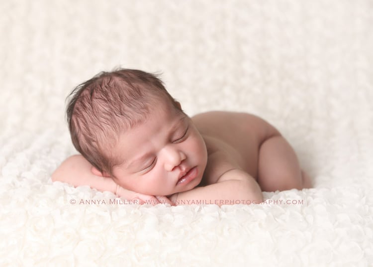 Sleeping newborn portrait by durham newborn photographer