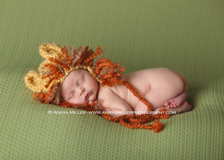 Pickering newborn portraits of baby boy