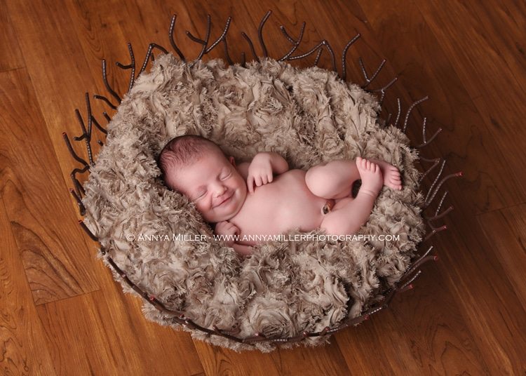 Newborn portrait by Durham Region photographer Annya Miller 