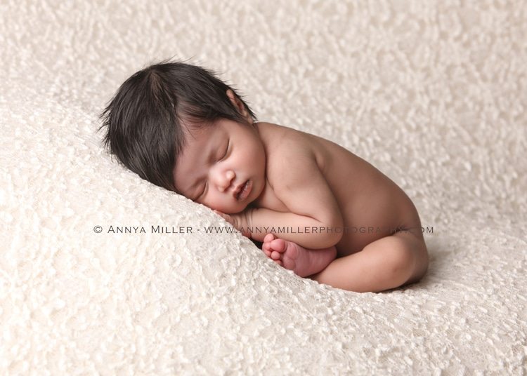 Ajax newborn photography by Annya Miller 