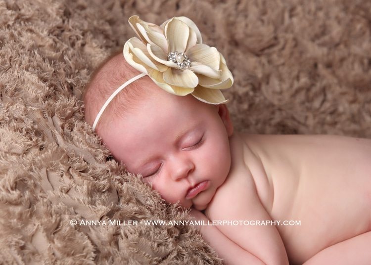 Pickering Newborn Photos by Annya Miller