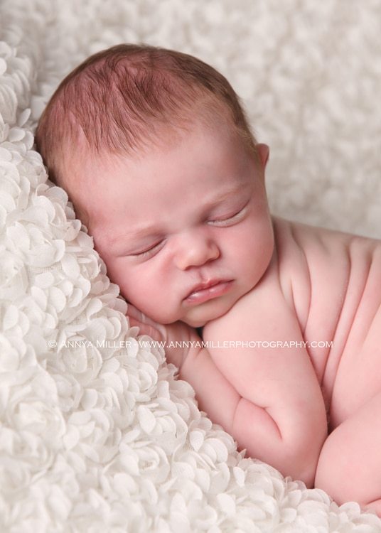 Baby portrait by GTA newborn photographer Annya Miller