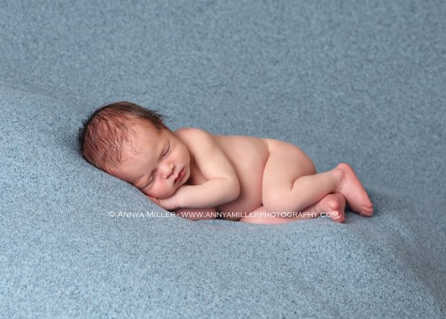 Ajax newborn pictures by Annya Miller Photography