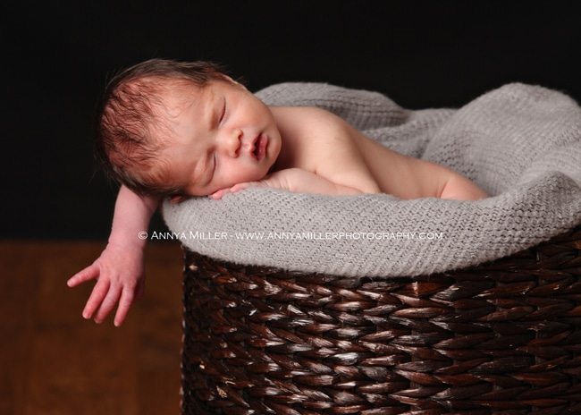 Ajax newborn pictures by Annya Miller Photography