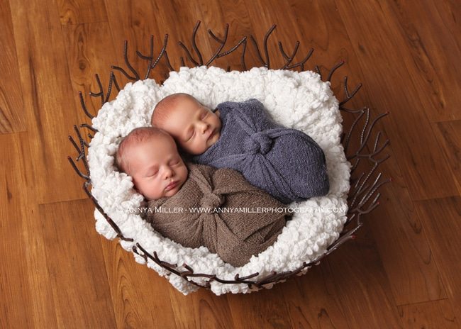 Whitby newborn pictures by Annya Miller