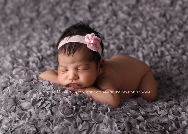 GTA newborn pictures by Annya Miller photography