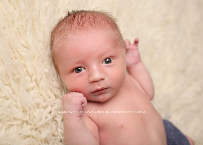 Durham Baby Photos - Baby Richard - Durham and GTA Newborn, Pregnancy ...