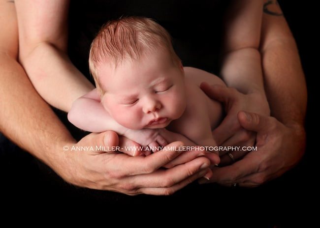 Newborn portraits by Toronto newborn photographer Annya Miller