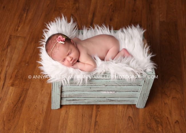 Portraits of baby girl by Oshawa newborn photographer Annya Miller