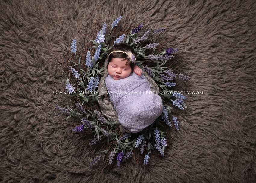 Ajax newborn photography by Annya Miller