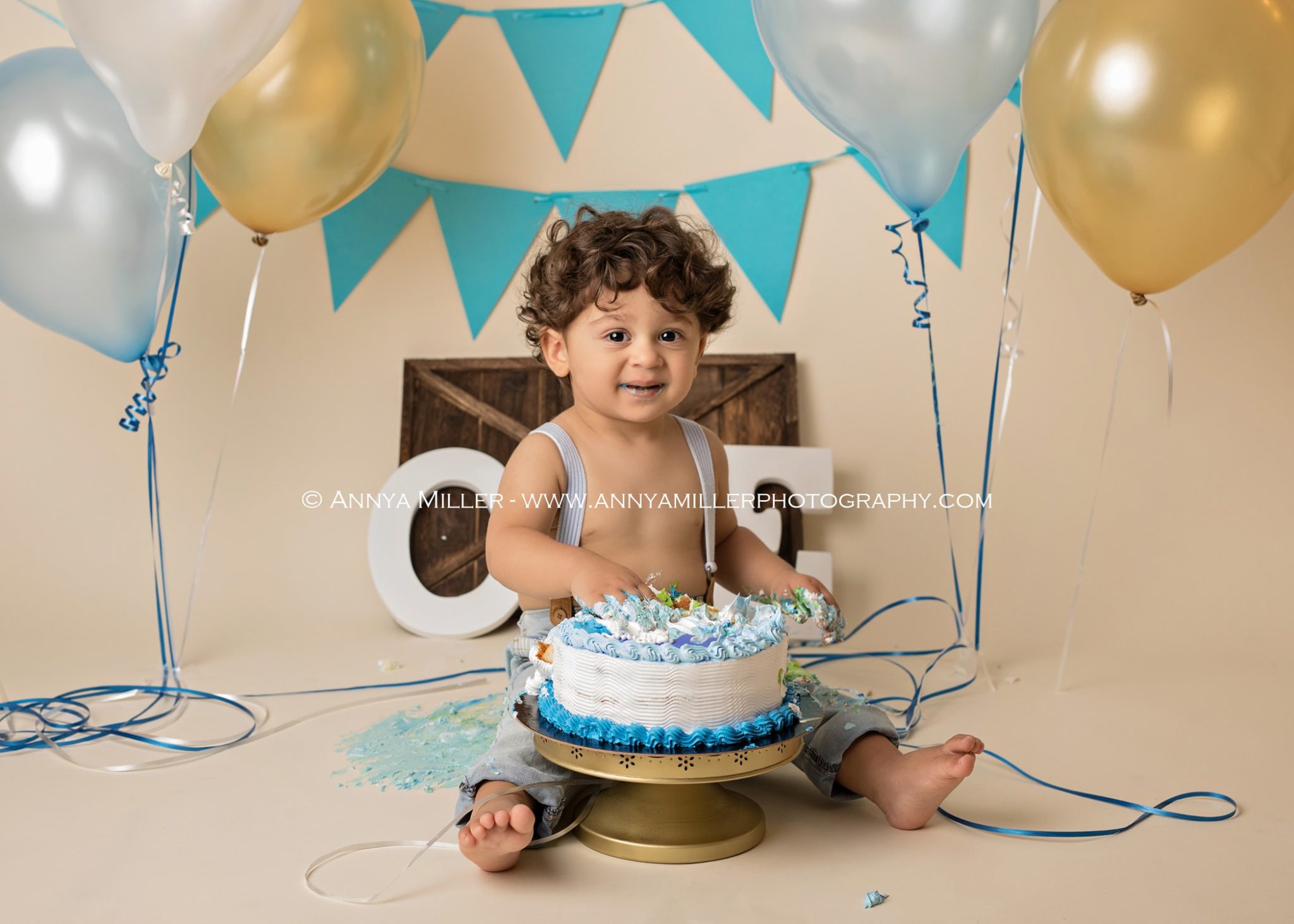 First birthday portraits by Pickering cake smash photographer Annya Miller