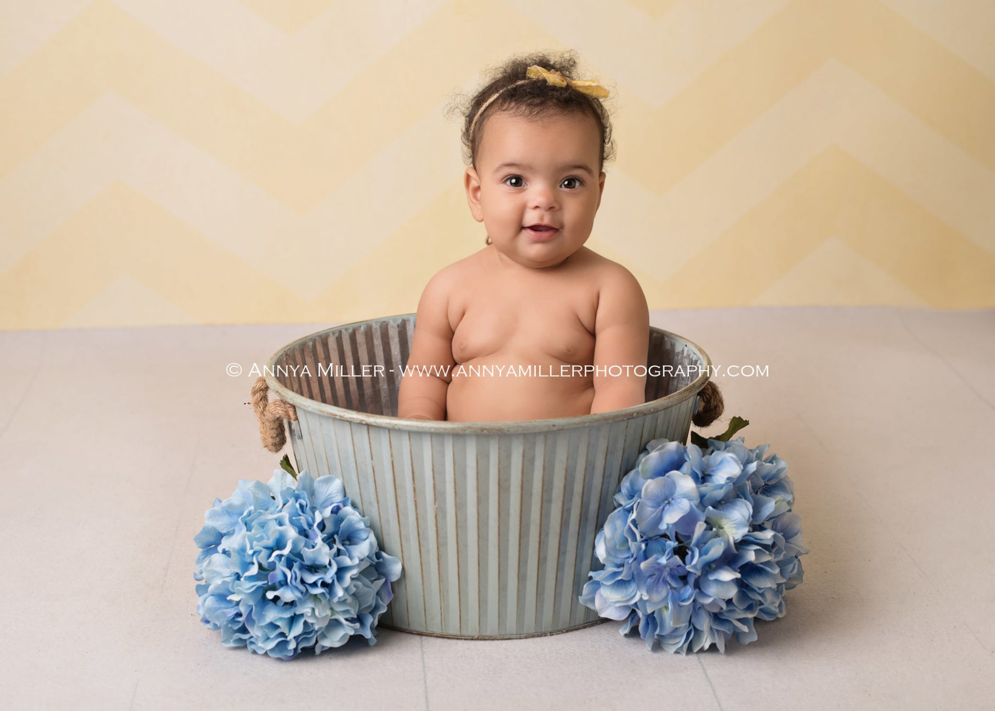 Baby portraits by Durham baby photographer Annya Miller 