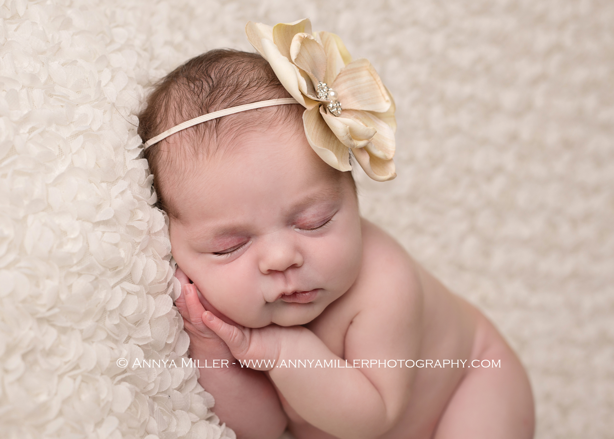 Newborn portrait of baby girl on white backdrop by Toronto newborn photographer Annya Miller