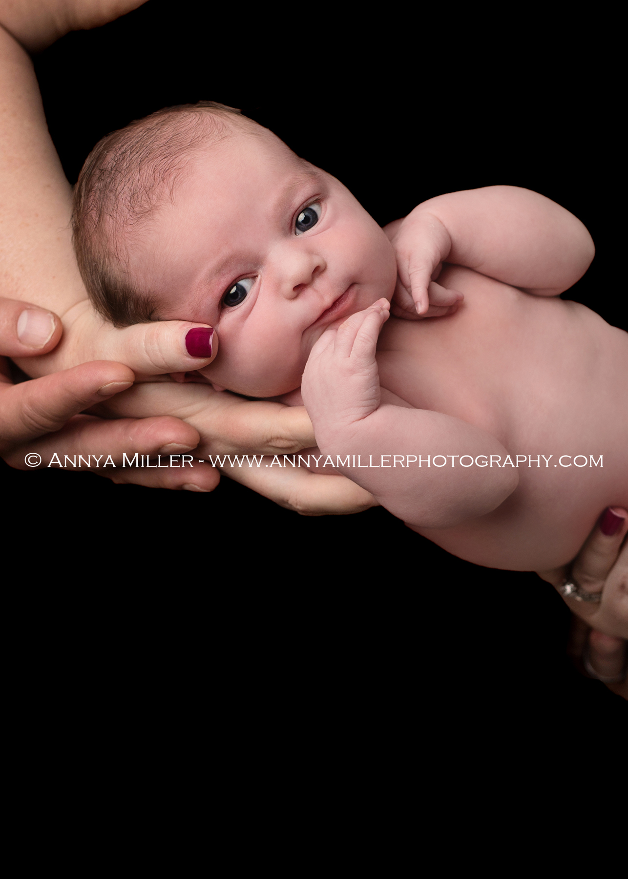 Portrait of newborn girl in parents arms by Toronto newborn photographer Annya Miller 