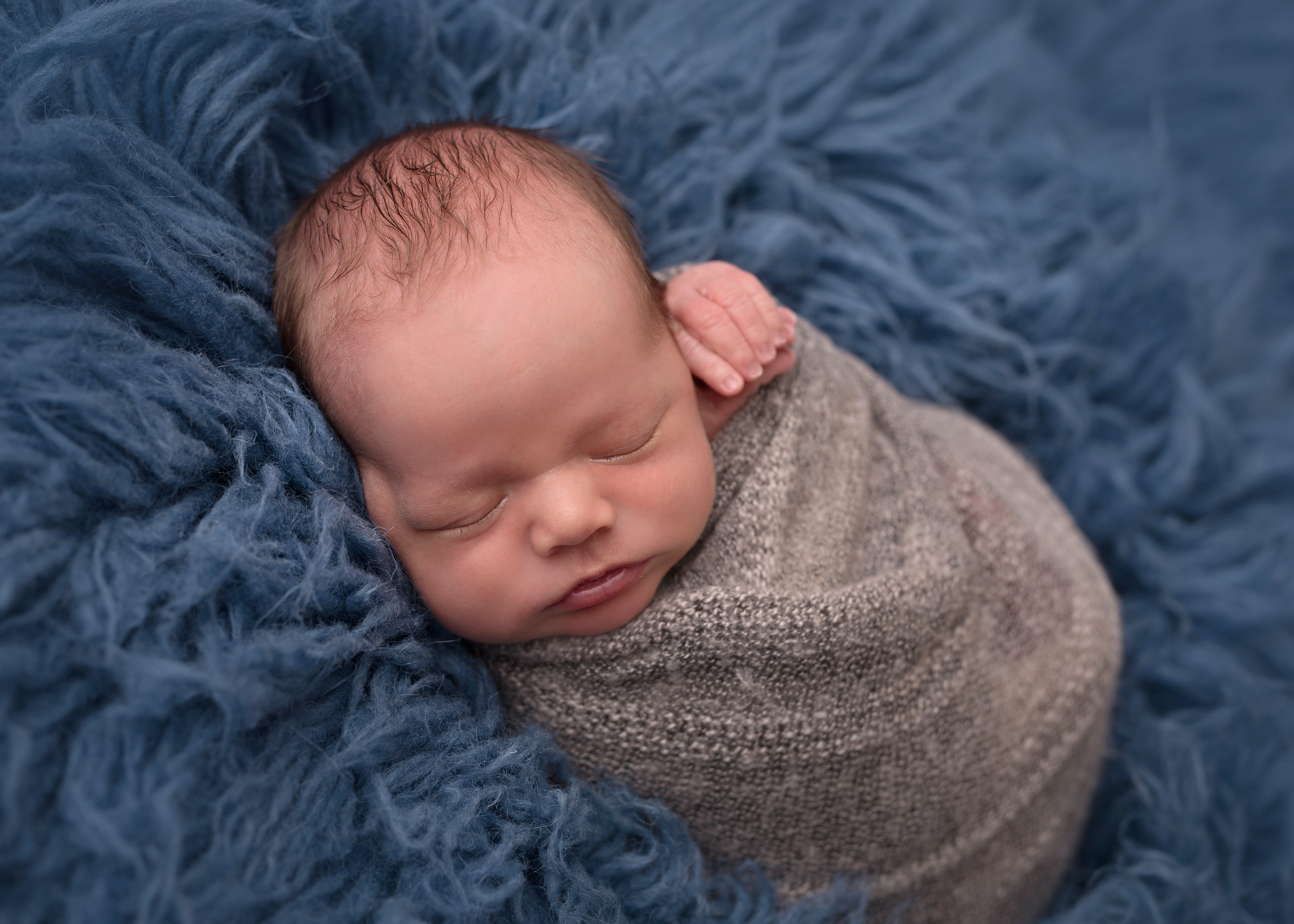Newborn portrait of baby boy by Toronto newborn photographer Annya Miller 