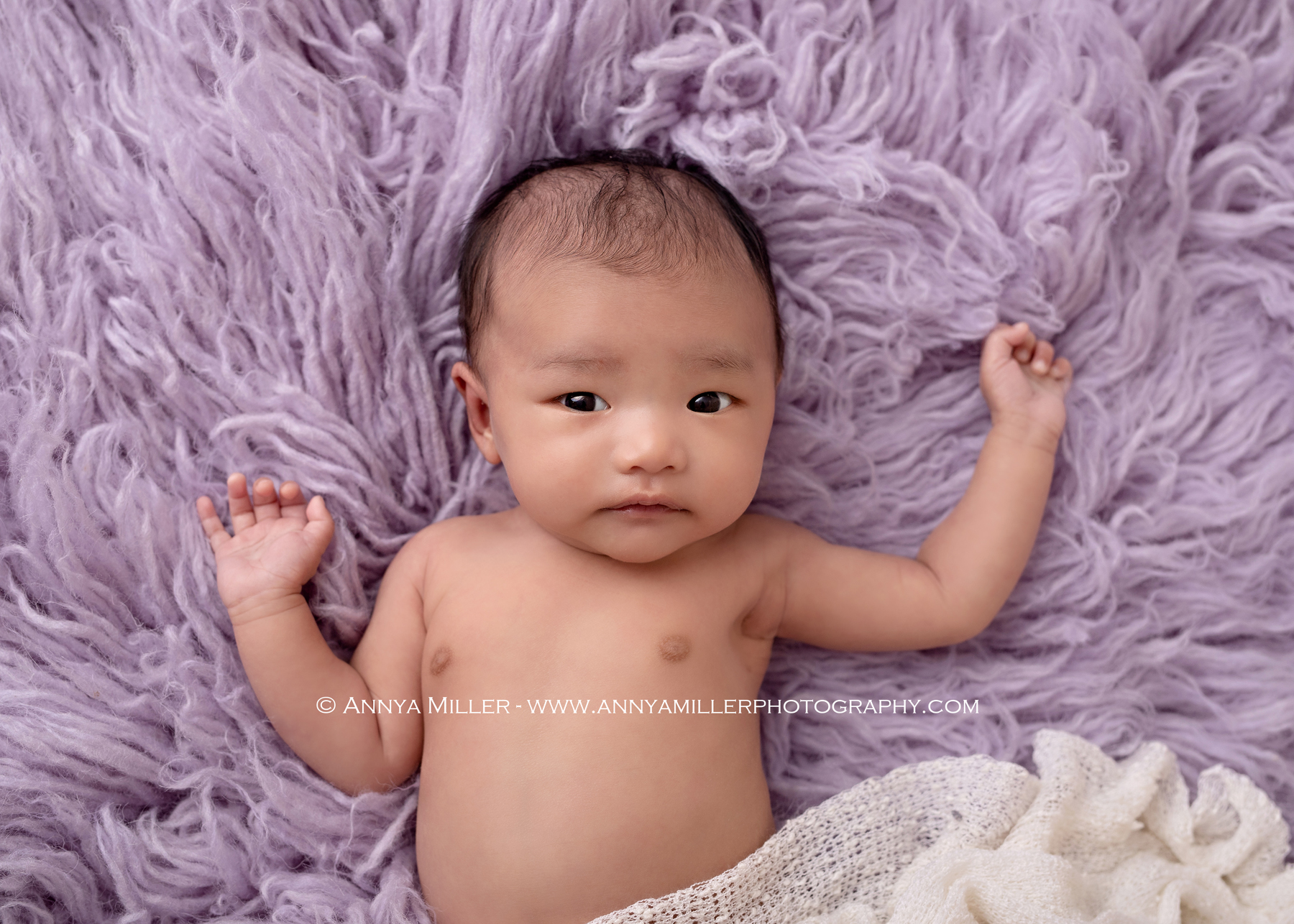 Awake baby girl at one month old, in studio for GTA newborn portraits by Annya Miller 