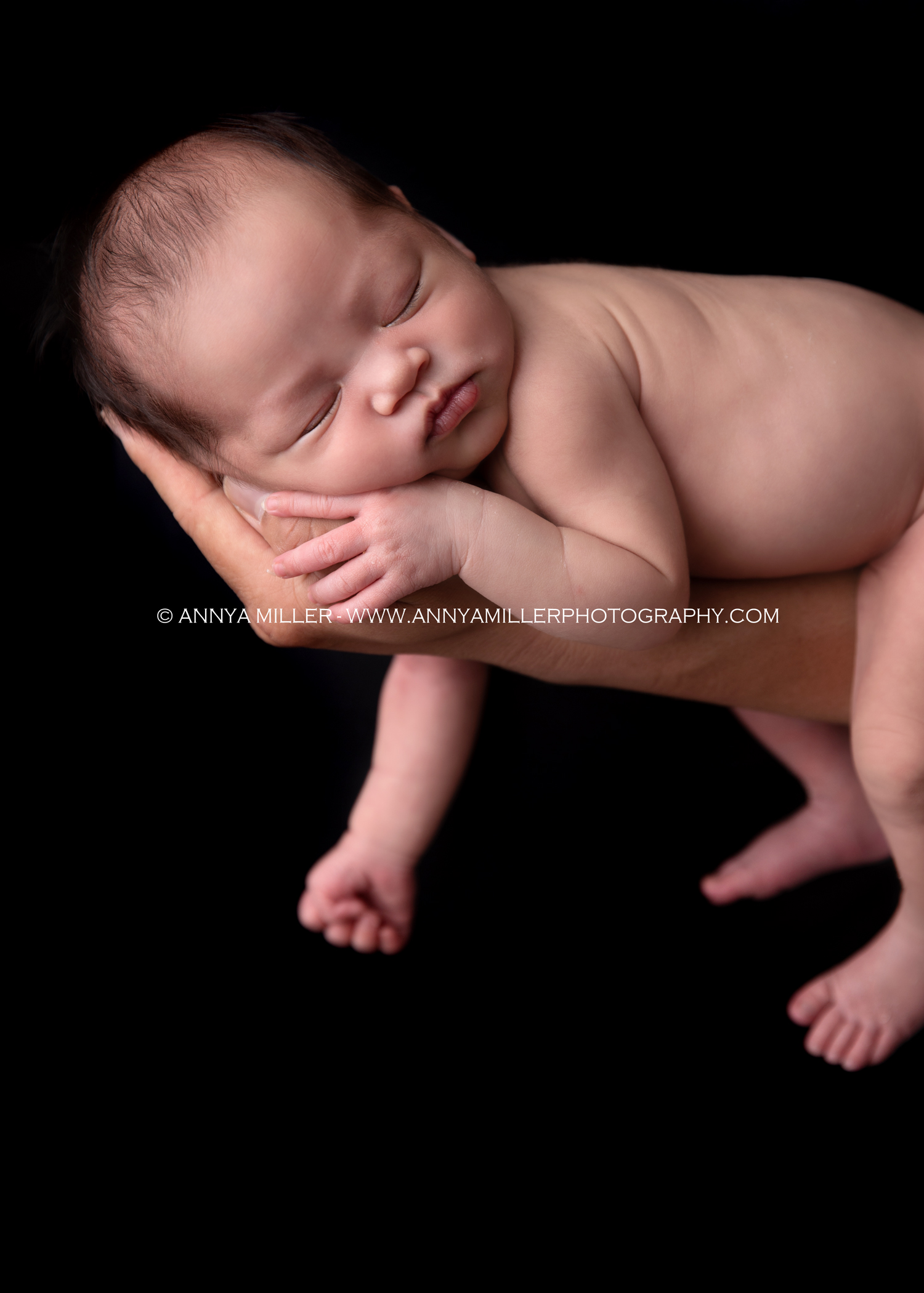 Portraits of baby girl by Scarborough newborn photographer Annya Miller