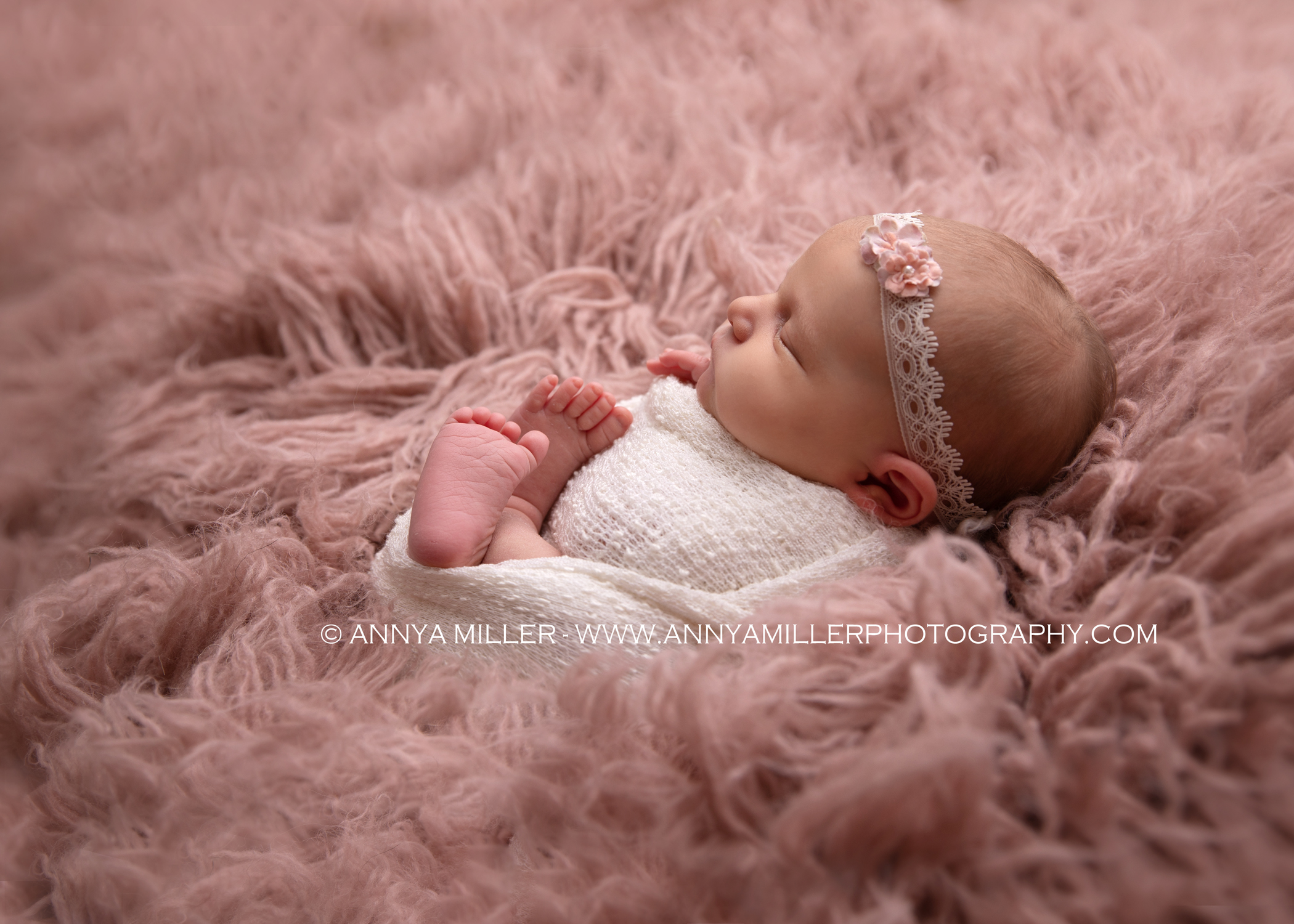 portrait of newborn baby girl by toronto area newborn photographer Annya Miller 