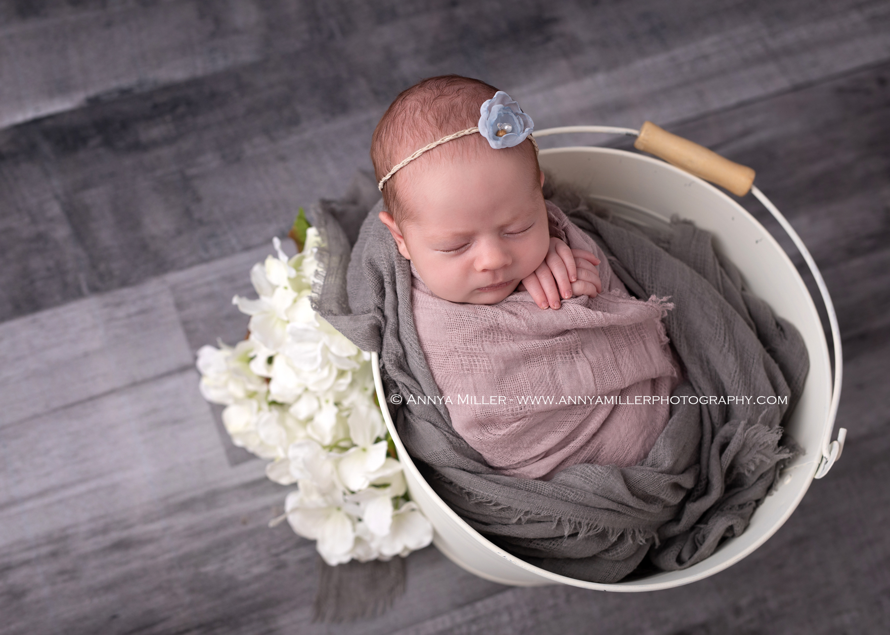 Newborn portraits by toronto area newborn photographer Annya Miller