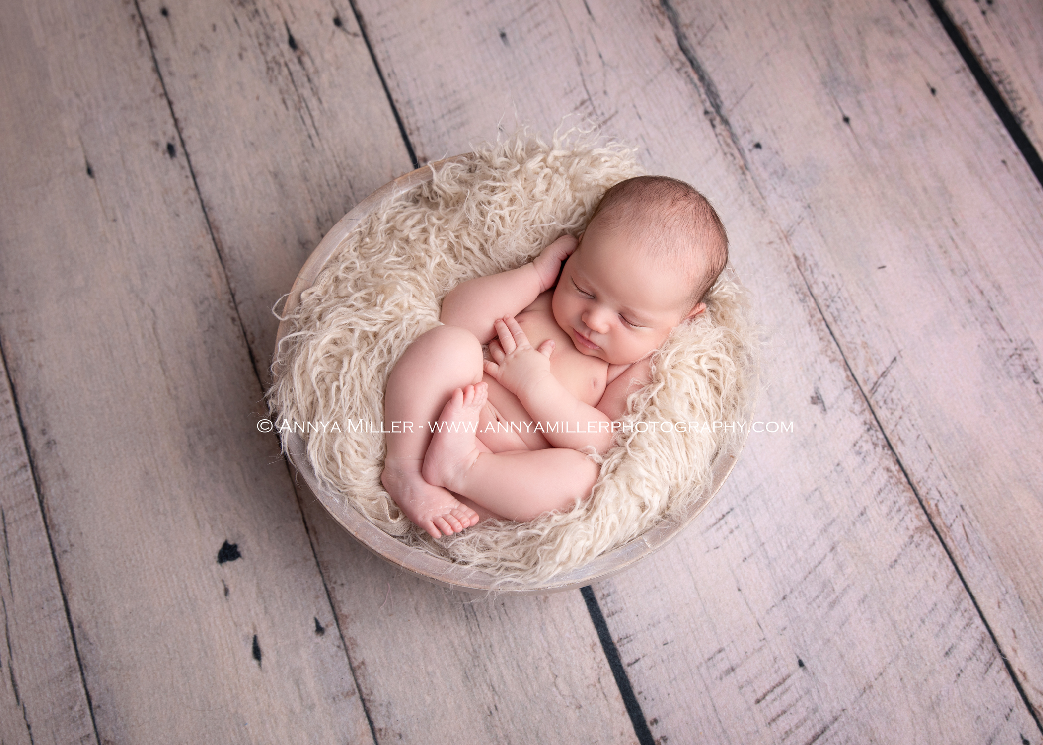 Toronto newborn photos of brand new baby boy by Annya Miller Photography 