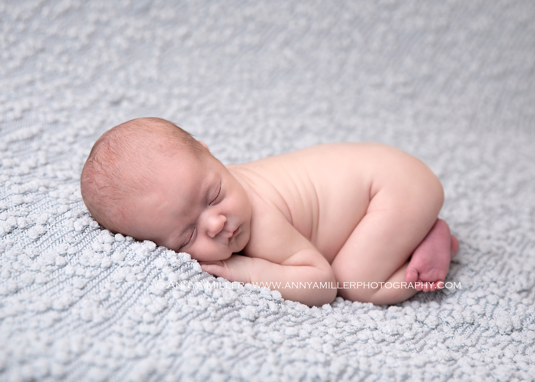 Portraits of newborn boy by Ajax newborn photographer Annya Miller