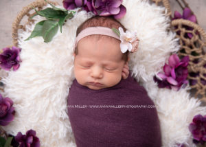 newborn portrait by Pickering newborn photographer Annya Miller