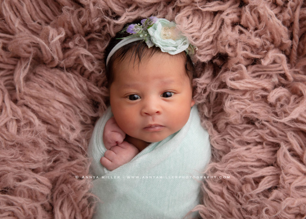 Toronto newborn photos of baby girl